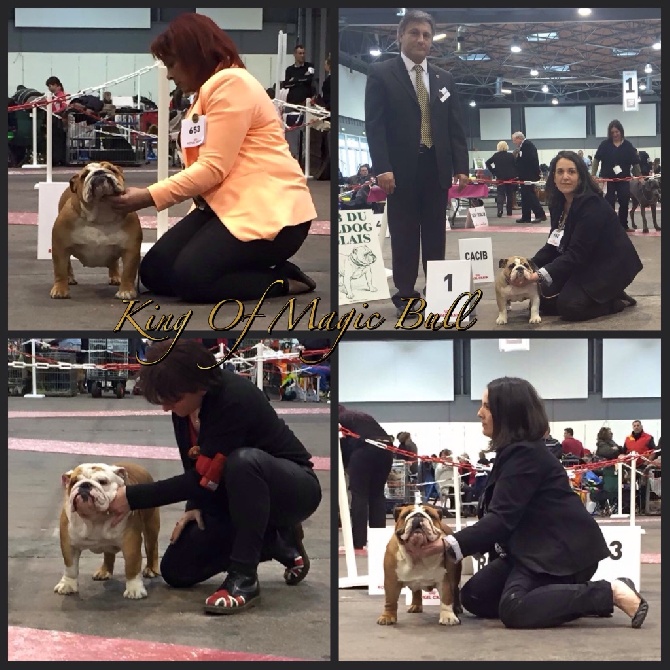 King of Magic Bull - Expo TROYES 07/02/2015