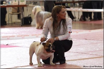 King of Magic Bull - Good Day Sunshine 1 EXC. Jeune F. Angers 2013 Mr Gianonne