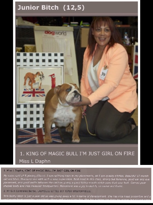 King of Magic Bull - King Of Magic Bull I'm Just Girl On Fire a Nantwich UK