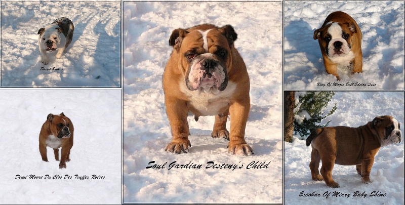 Darya fait sa crise janv.2010 "jaime, j'adore la neige"