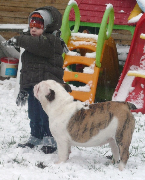 Les joies de la neige janv.2009